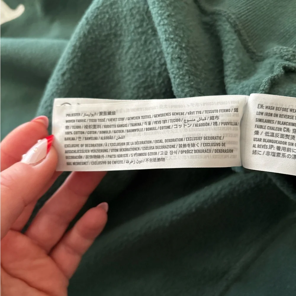 Hollister Forest Green Montana Hoodie - Picture 5 of 5
